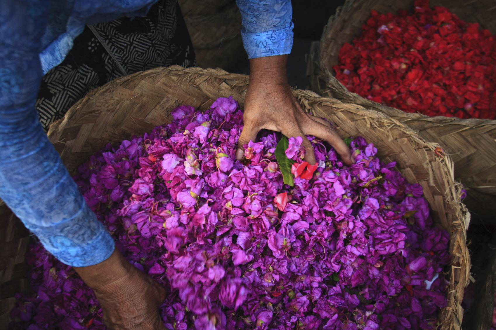 Flower-Petals-and-Hands-in-an-Old-Wicker-Basket,-Bali-000042407720_Medium
